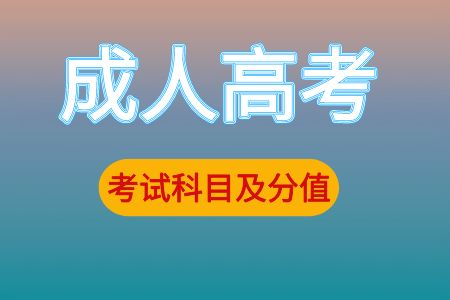 2023年成人高考考试科目